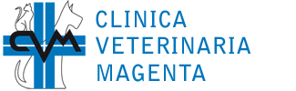 CVM Clinica Veterinaria Magenta